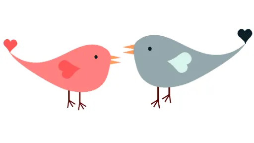 ベトナム語で鳥種の名前を紹介します
