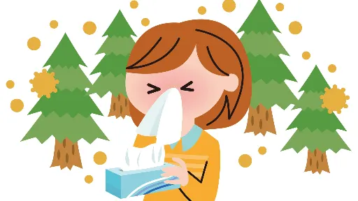 花粉症に関するベトナム語の単語を紹介します
